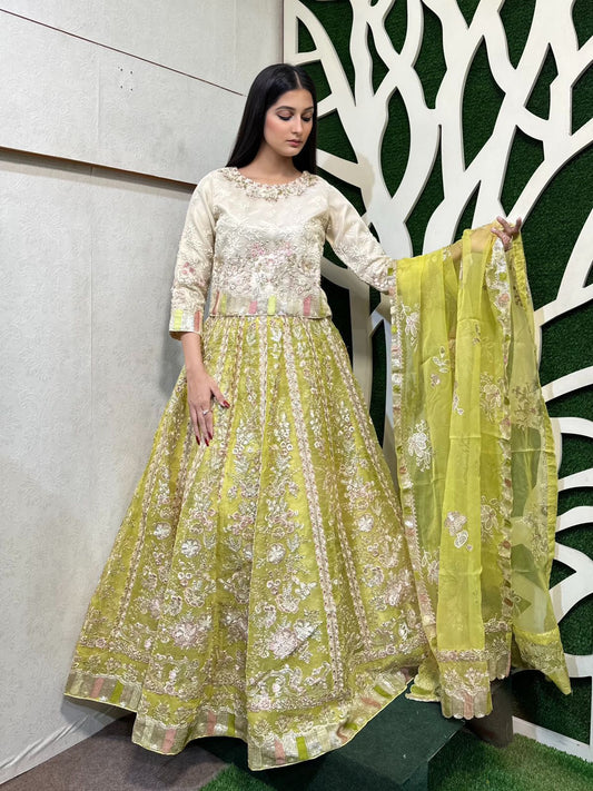 Lehnega Choli Article
