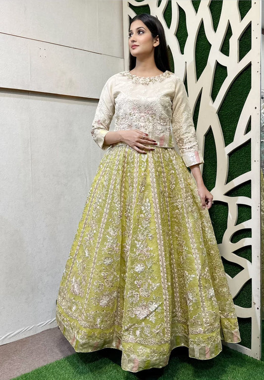 Lehnega Choli Article